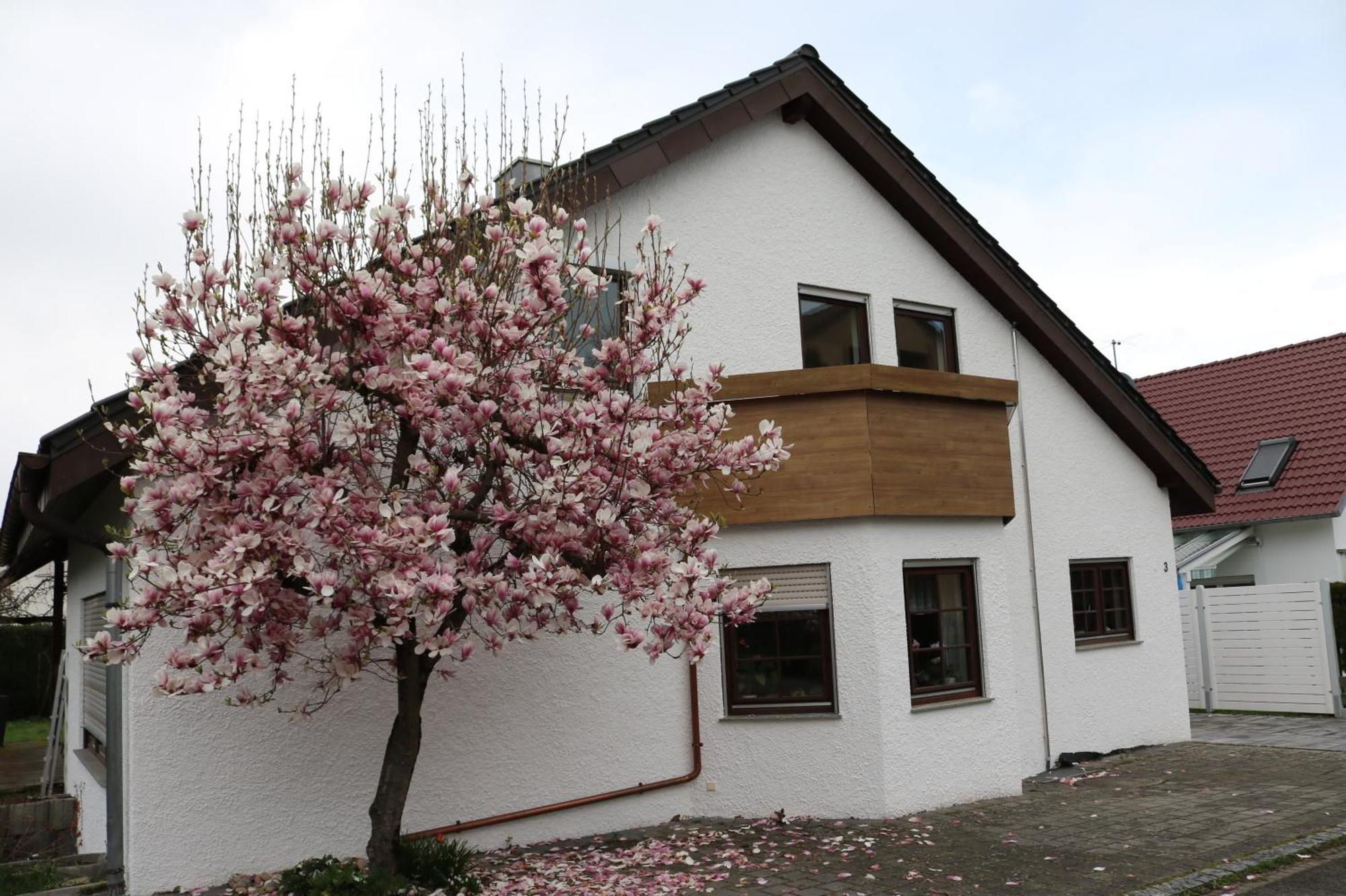 Ferienwohnung In Bempflingen Екстер'єр фото